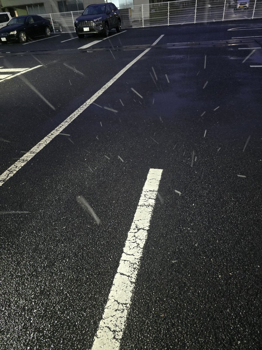 ハス山さん tweet media