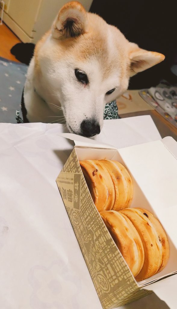 寅さん@オジサン (@tora_zatsugaku) / Posts / X