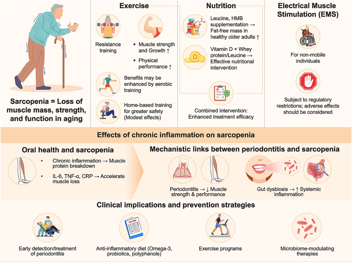 Sarcopenia prevention in older adults: Latest evidence👇🏼

#muscle #ageing #sarcopenia

sciencedirect.com/science/articl…