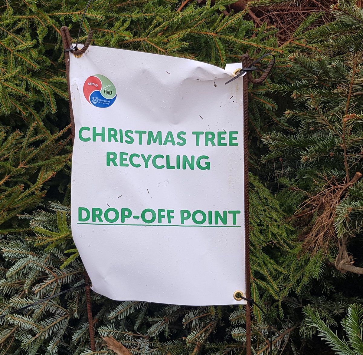 Basingstoke Council tweet media