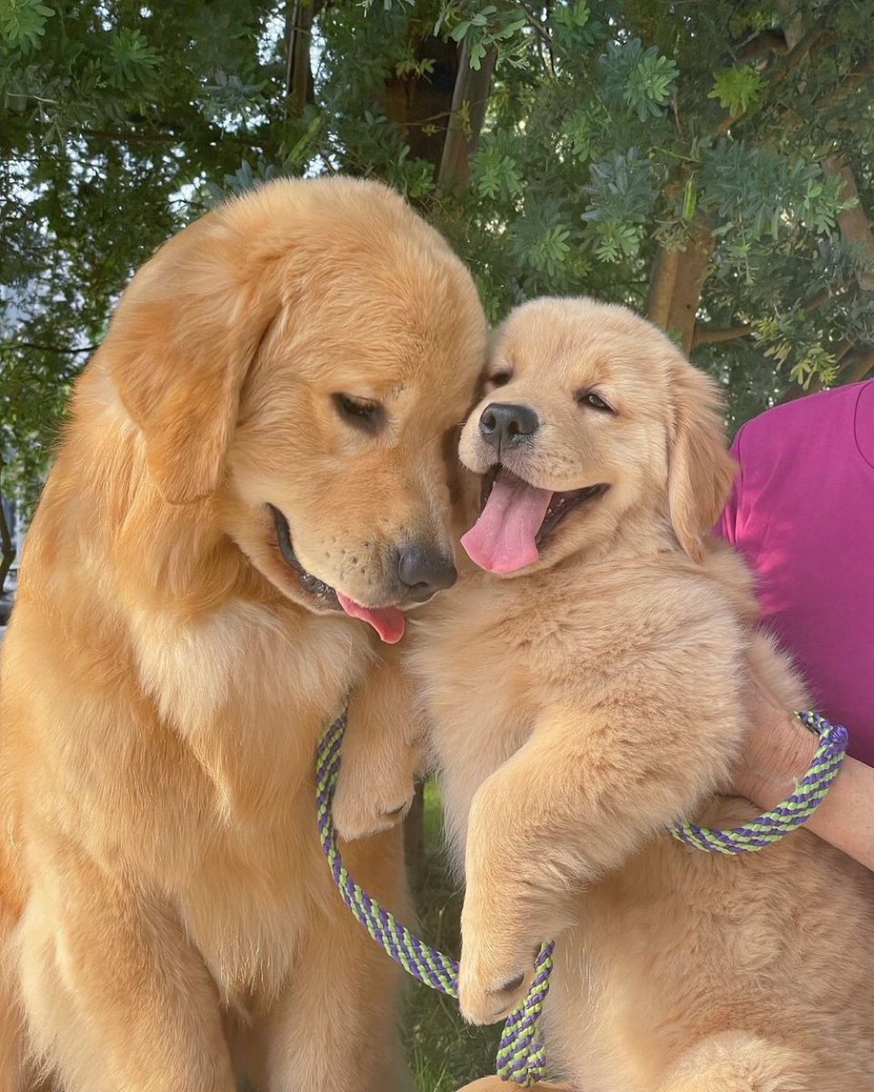 パオ•*¨*•.¸♬︎ PAO通販部📦通販のPAO📦 on X