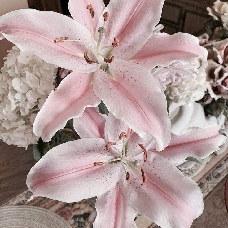 swtdaises's tweet image. ✶⋆. books i’ve read in 2026 — a thread