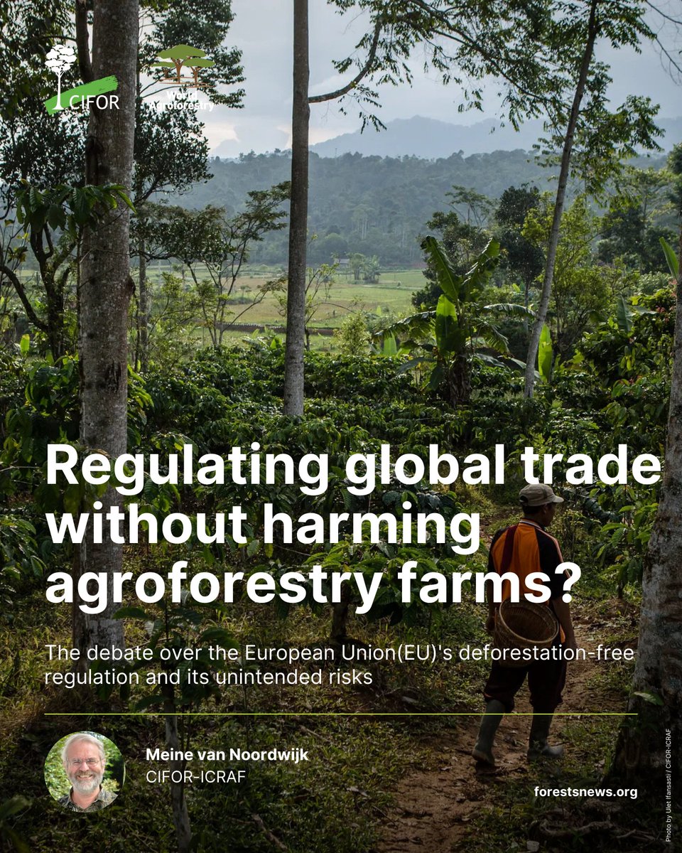2025 #YearInReview | Can deforestation-free trade protect forests without harming #agroforestry?

This analysis looks at how simplified forest definitions and mapping risk unintended impacts on smallholders.

Read the story: 🔗bit.ly/4pX9fRn

#Trees4Resilience