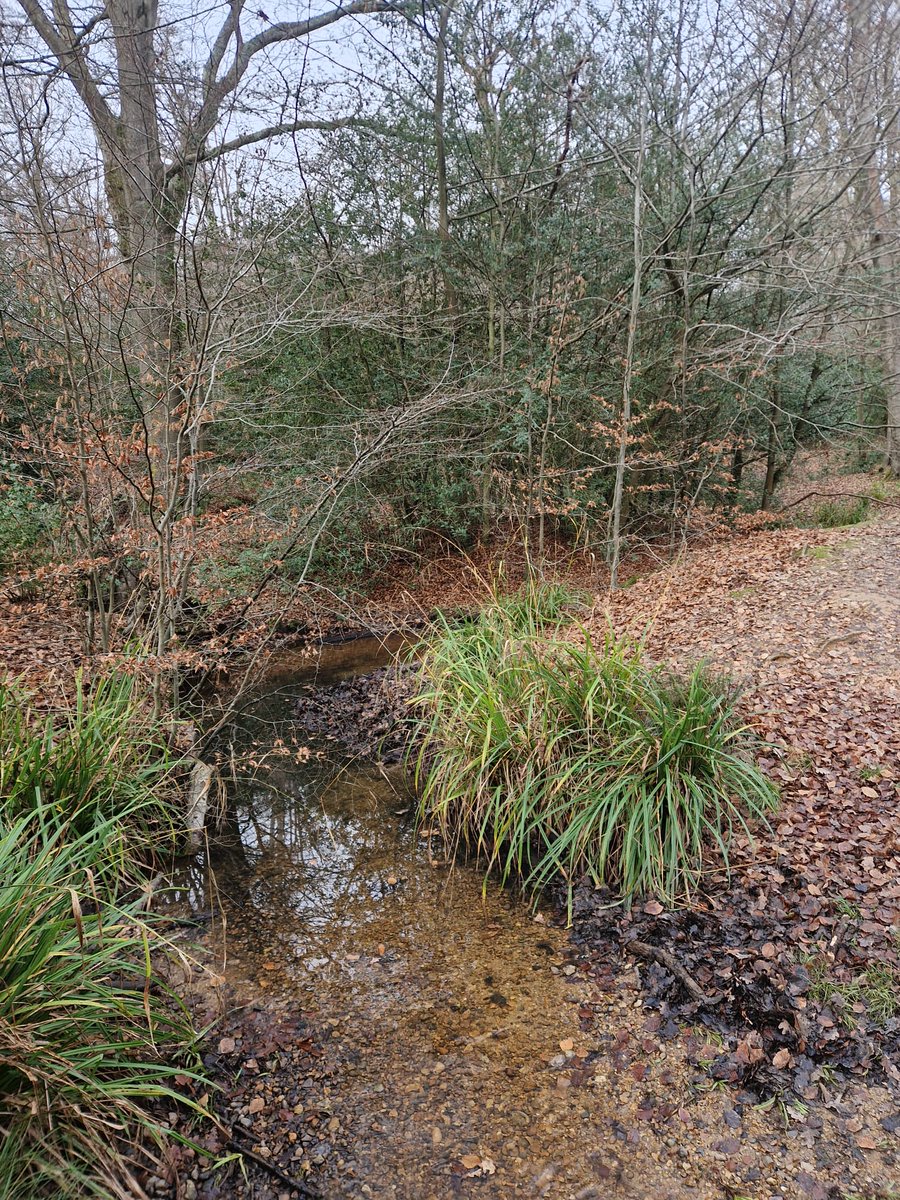 ElizabethStoutHealth tweet media