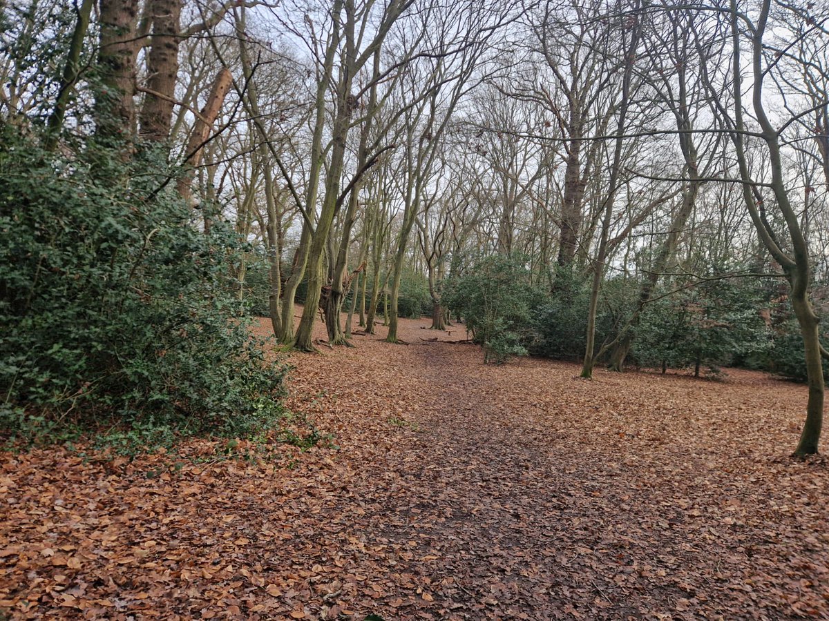 ElizabethStoutHealth tweet media