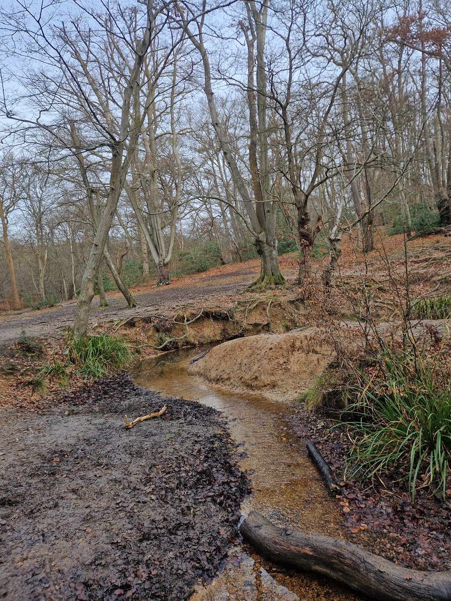 ElizabethStoutHealth tweet media