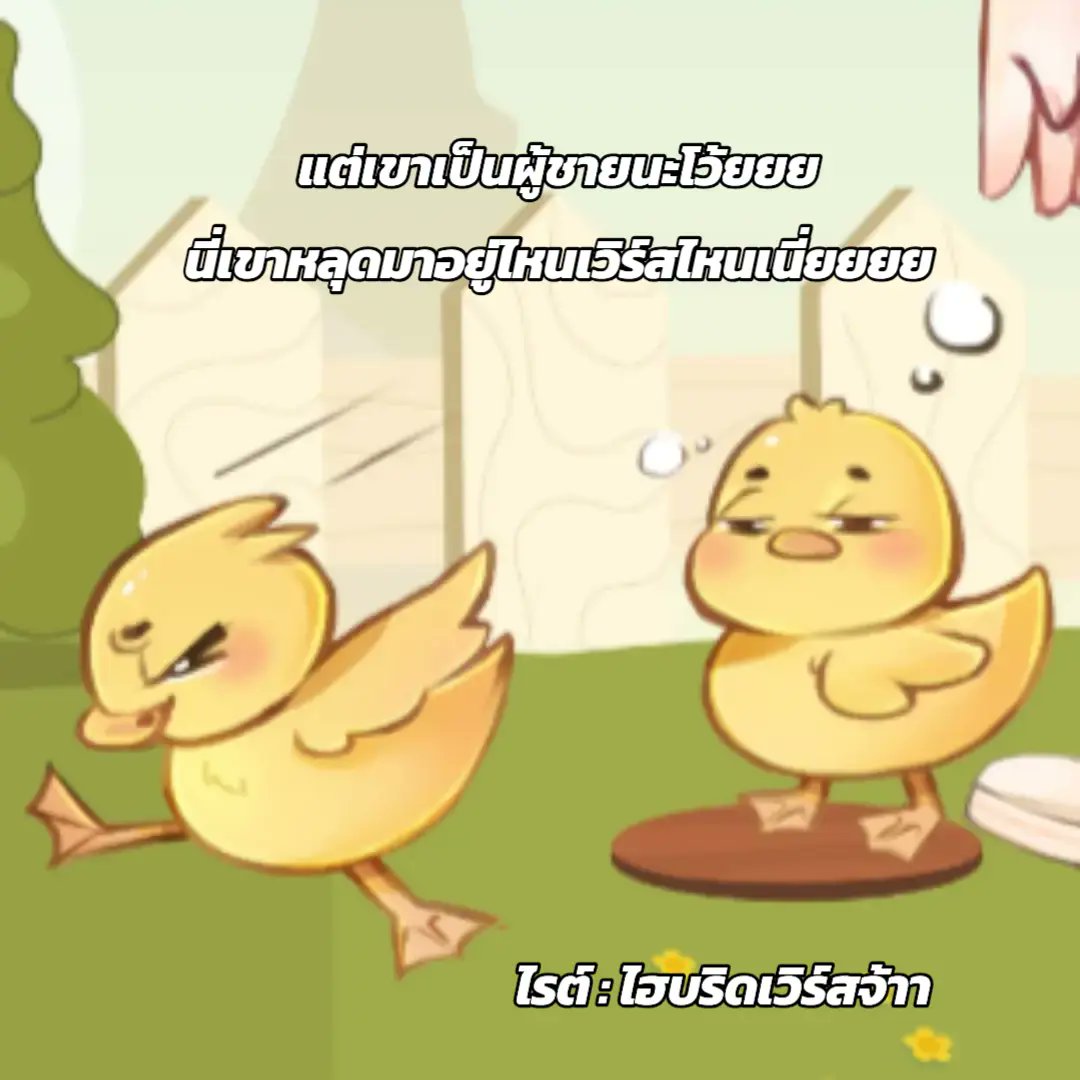 ลินจาร์ (Linjar) tweet media