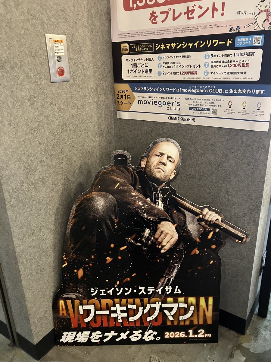 新年初映画はサツゲキでワーキングマン⚒️
最高に景気の良い武力＆暴力始め❣️
花火のようにドッカンドッカン飛び交う銃弾で正月ボケを吹き飛ばせ🧨
建設現場で働くステイサムの姿に胸熱🥰
きっと観たら自分の現場が好きになる♡
一刻も早く仕事始めしたくなりました⭐️
#ワーキングマン鑑賞ヨシ