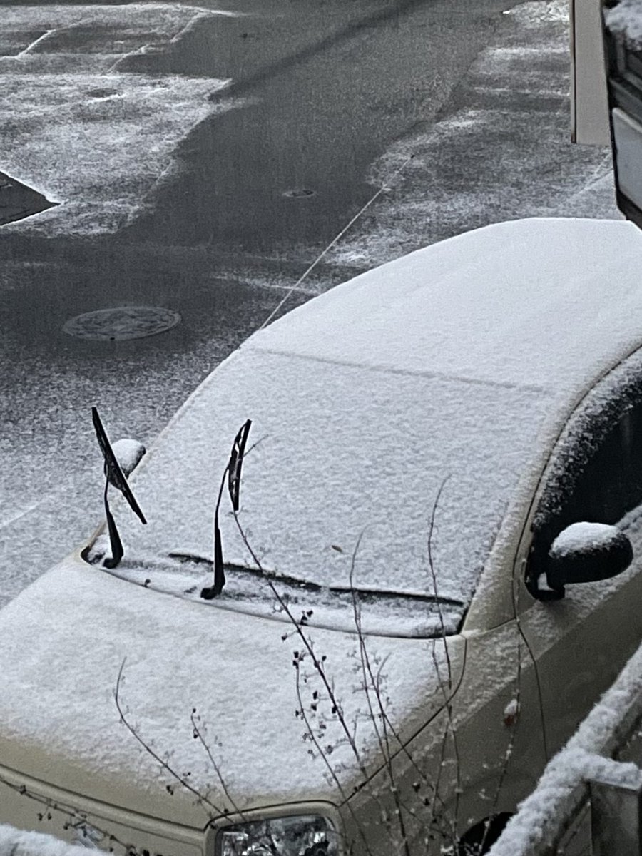 フーミン (@718chittan) / Posts / X