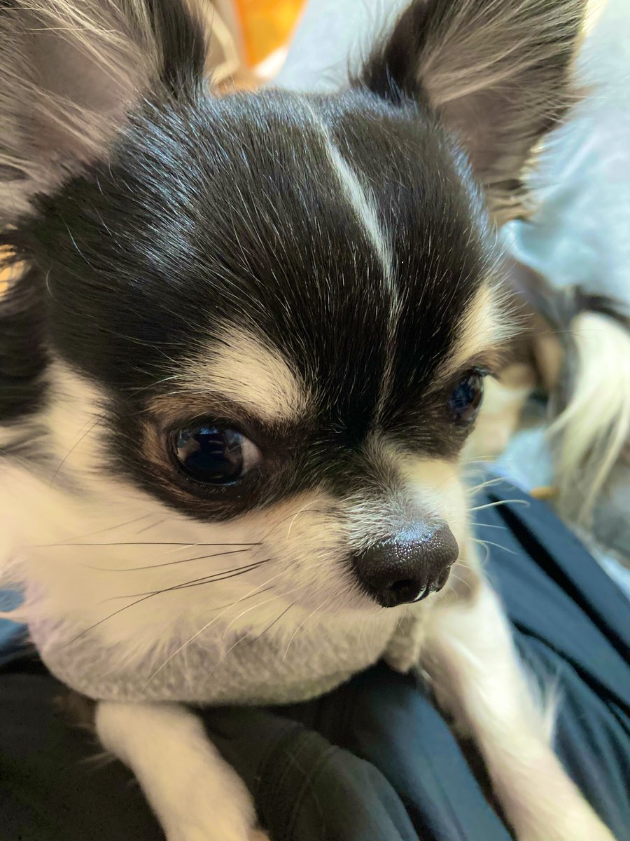 ̗Good morning 🌈ᵕ̈ 朝から「癒しをありがとう」( ∩⁼̴́꒳⁼̴̀