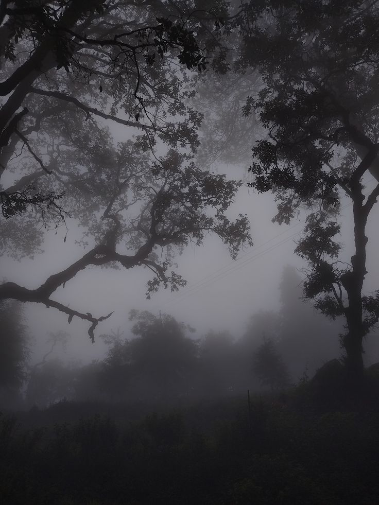 𝕰𝖑𝖊𝖒𝖒𝖎𝖗𝖊 tweet media