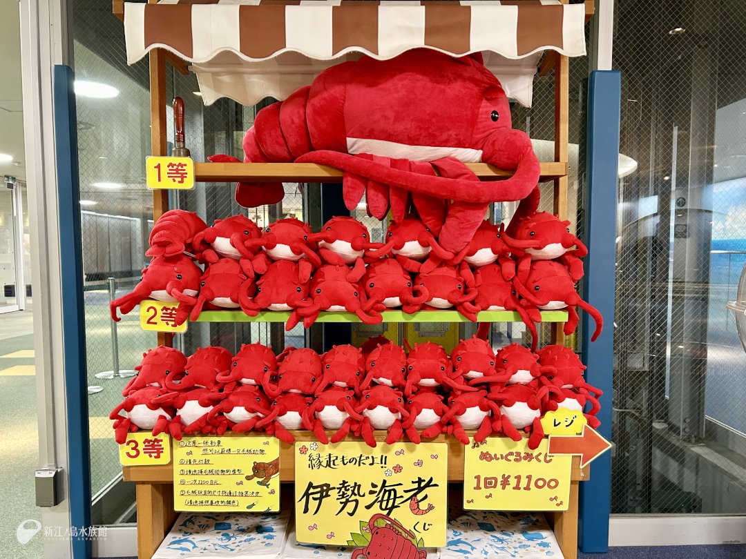enosui_com's tweet image. 🎯今だけの縁起物🦐
🆕伊勢海老くじ

はずれなしのぬいぐるみくじに
縁起が良いとされるイセエビが
期間限定で登場中✨

ℹ️数量限定につき無くなり次第終了
ℹ️各種ぬいぐるみくじは10時から