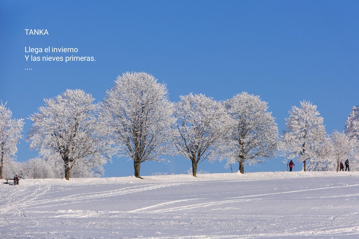 No recanto segredo poesia: Solsticio de Invierno       ( Tanka ) poemasnorecantosegredo.blogspot.com/2025/12/solsti…

Versos blancos heptasílabos y pentasílabos 5-7-5-7-7

#comparteestepoema #regalapoesía #poesía #poetry #tanka