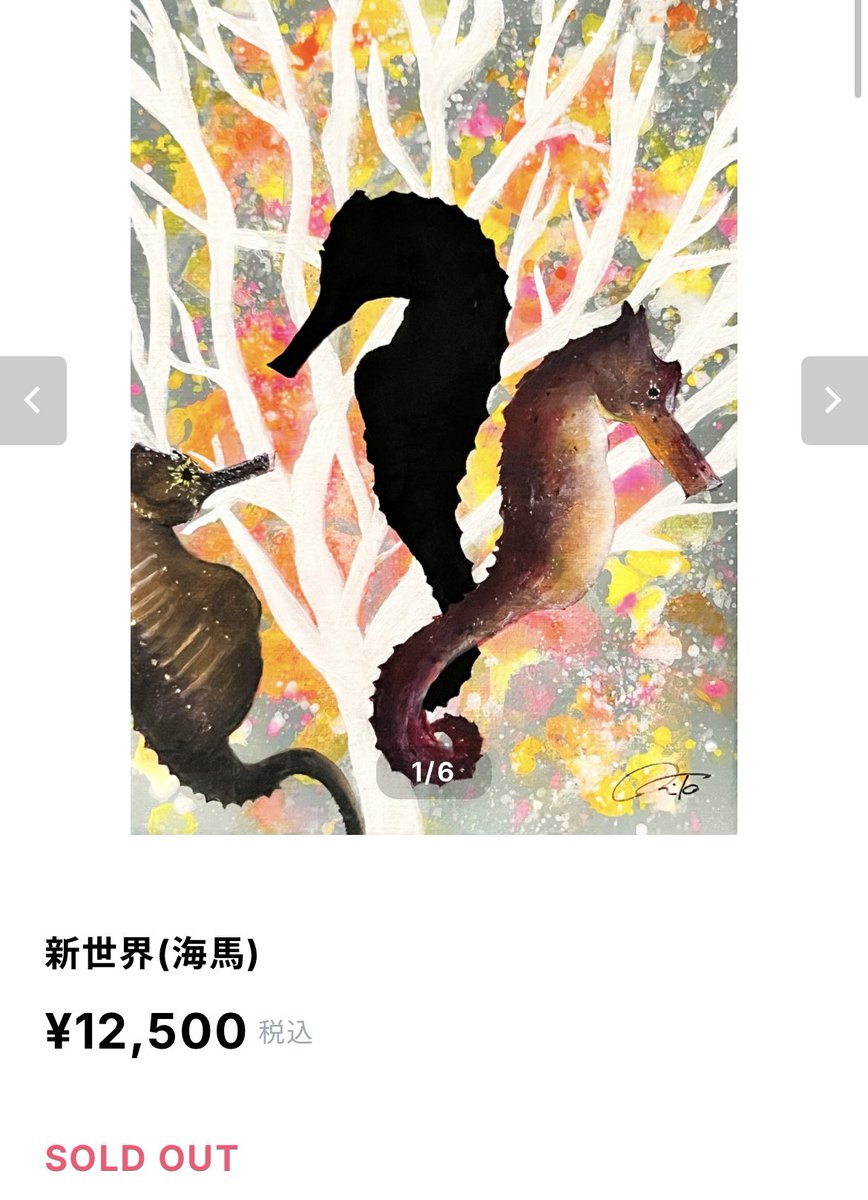 🐉SOUL'dOUT🐉 昨日タツノオトシゴ(海馬)を購入いただきました