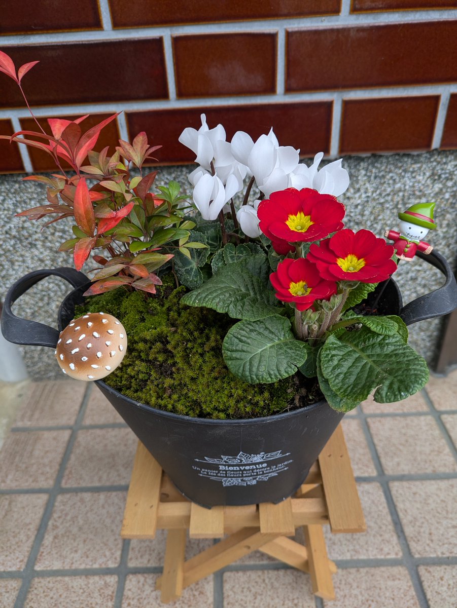 kuushinelm's tweet photo. 【私の休日・事務職・女】 良く晴れた冬の日、少し足を延ばして鳥取砂丘まで行き隣接する「砂の美術館」を鑑賞したり。また年末近い日には、寄せ植えで玄関を正月仕様に飾りつけたり。そんなのんびりした時間が好きです。 2026年　今年も良い年でありますように。 #介護のお仕事 https://t.co/Ji0FmqoWP5