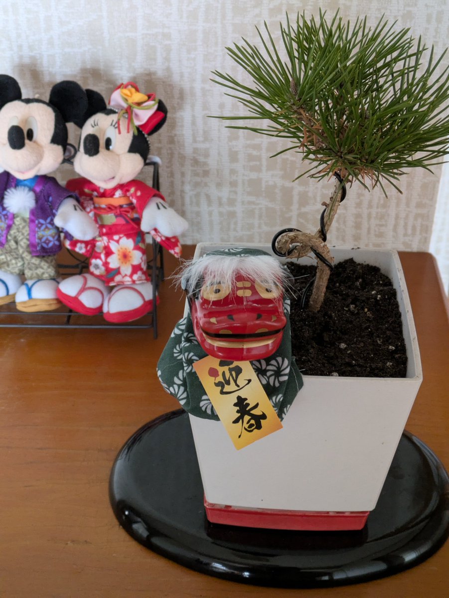 kuushinelm's tweet photo. 【私の休日・事務職・女】 良く晴れた冬の日、少し足を延ばして鳥取砂丘まで行き隣接する「砂の美術館」を鑑賞したり。また年末近い日には、寄せ植えで玄関を正月仕様に飾りつけたり。そんなのんびりした時間が好きです。 2026年　今年も良い年でありますように。 #介護のお仕事 https://t.co/Ji0FmqoWP5