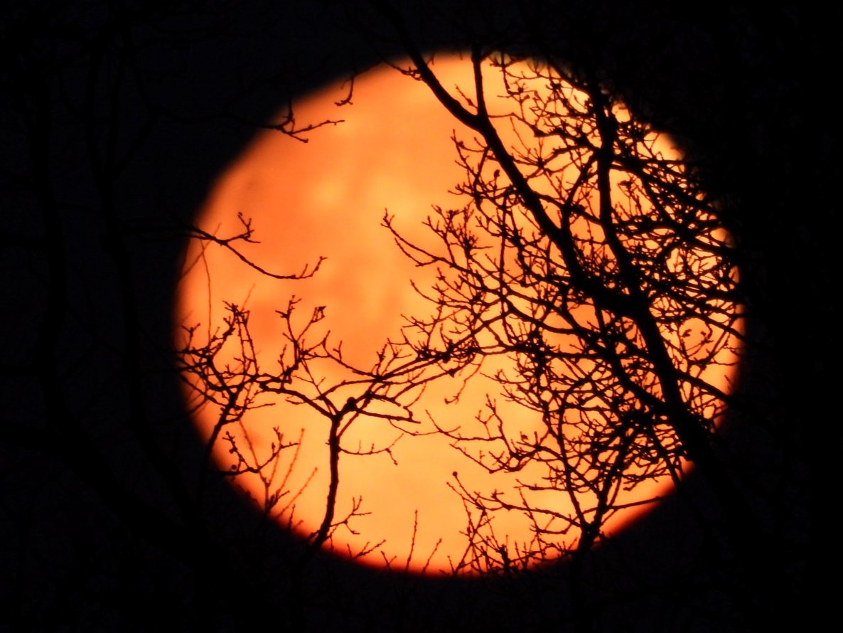 Moon setting over Wakefield <a href="/kerriegosneyTV/">Kerrie Gosney</a> <a href="/itvweather/">ITV Weather</a> <a href="/KeeleyDonovan/">Keeley Donovan</a> <a href="/Hudsonweather/">Paul Hudson</a> <a href="/SimonOKing/">Simon King</a> <a href="/bbcweather/">BBC Weather</a> <a href="/Schafernaker/">Tomasz Schafernaker</a> <a href="/metoffice/">Met Office</a> <a href="/WakeExpress/">Wakefield Express</a> <a href="/journoLeanneC/">Leanne Clarke</a> <a href="/WkfdOfficial/">Wakefield Official News</a> <a href="/ThePhotoHour/">#ThePhotoHour</a> <a href="/Expwakefield/">Experience Wakefield</a> <a href="/MyWakefield/">Wakefield Council</a> #moon #Wakefield <a href="/katerinaweather/">Katerina Christodoulou</a> #moonset