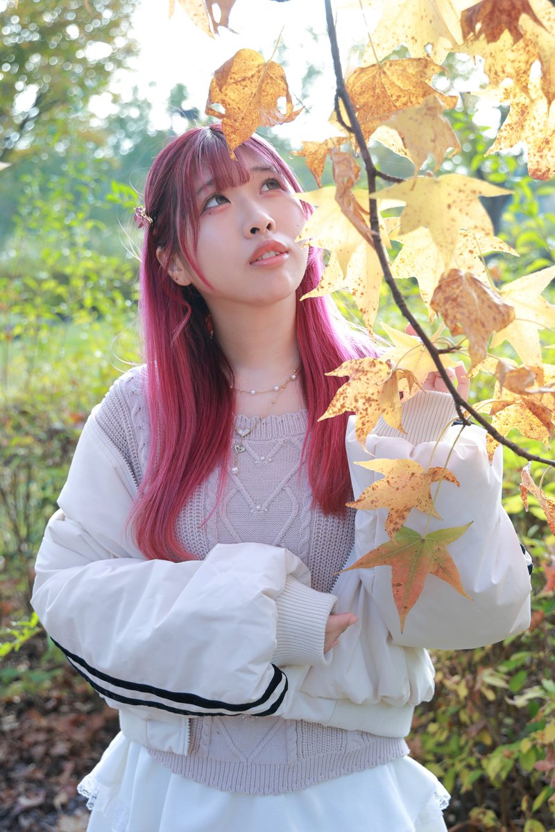 たかちゃん📷 (@hcPXfvZwQd3jt1h) / Posts / X