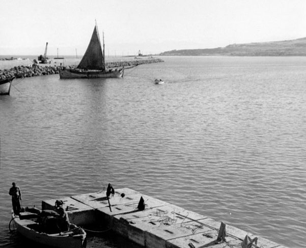 Trabzon Limanı
1950’ler.