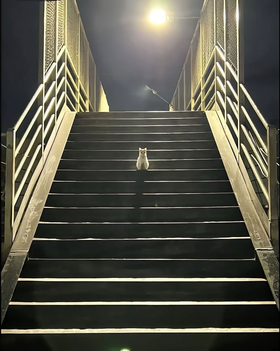 Когда в игре дошёл до последнего босса