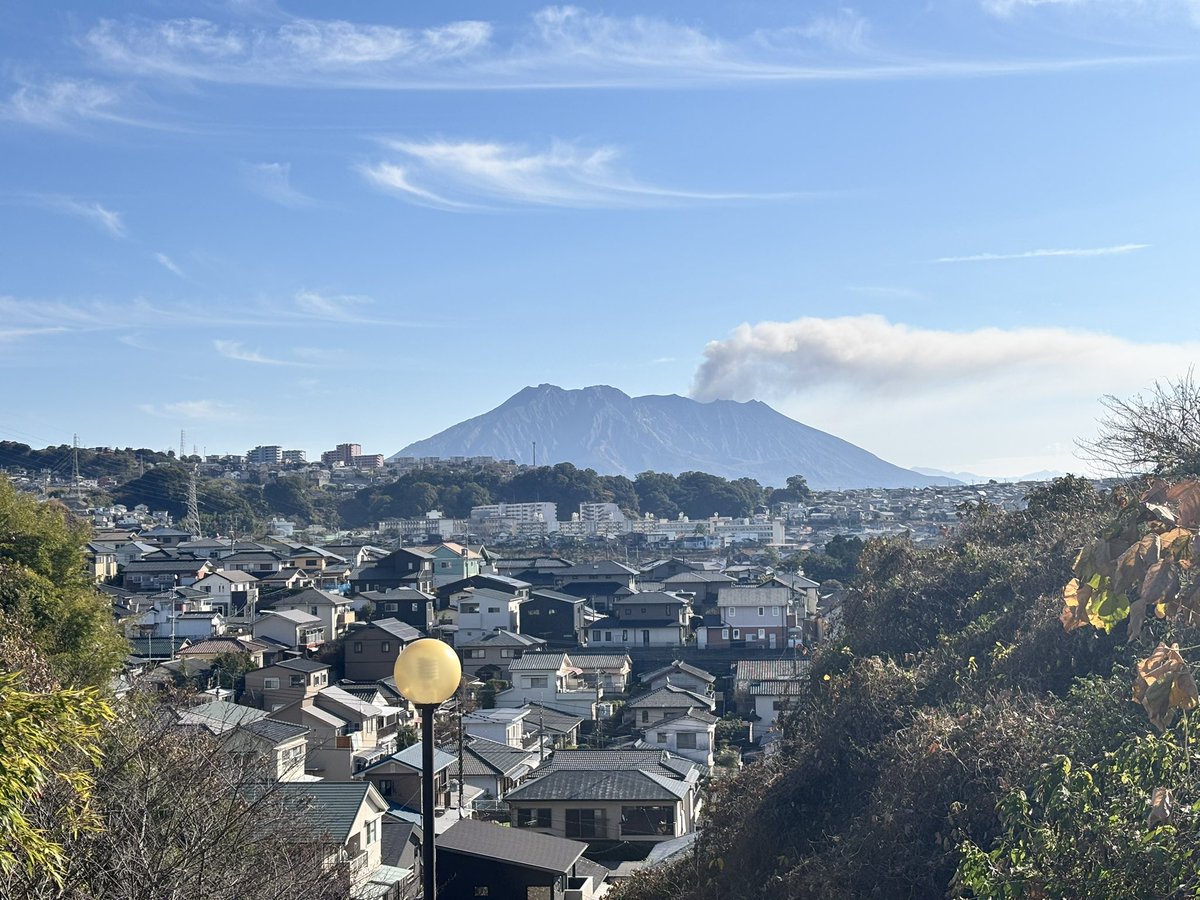 2026年もよろしくお願いします🐴