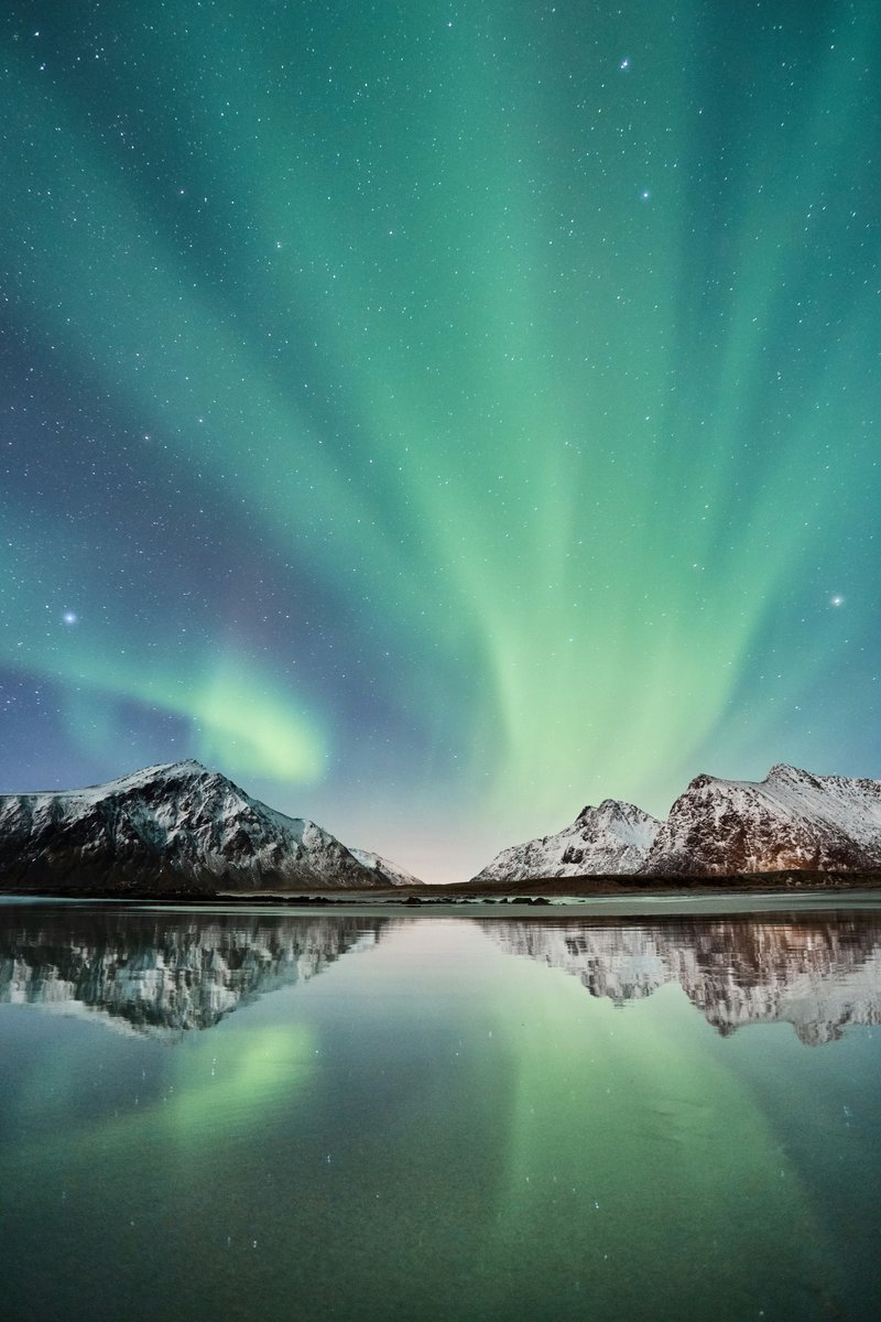 earthcurated's tweet image. Lofoten islands, Norway ✨