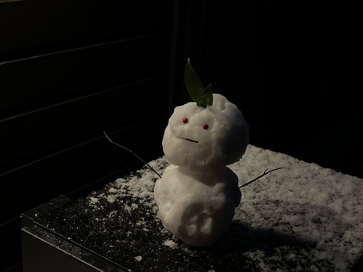 雪が降りました。雪だるまを作りました。
