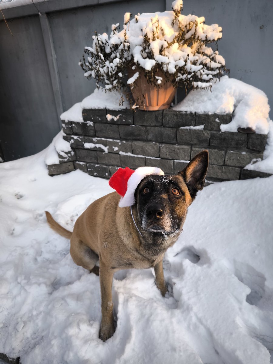 Продолжаем отдыхать 🥳