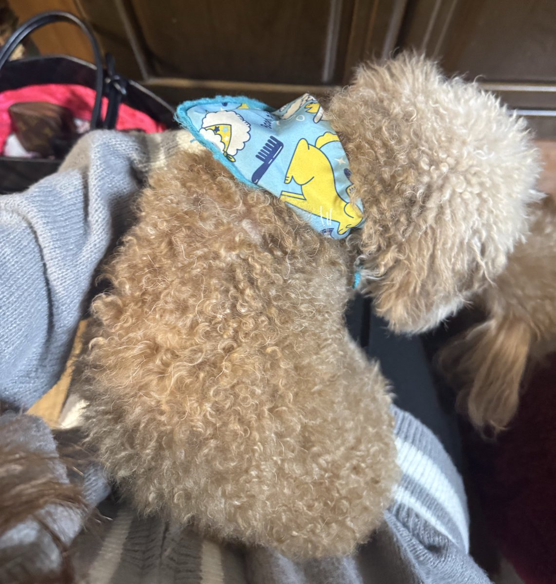 さやちゃん tweet media