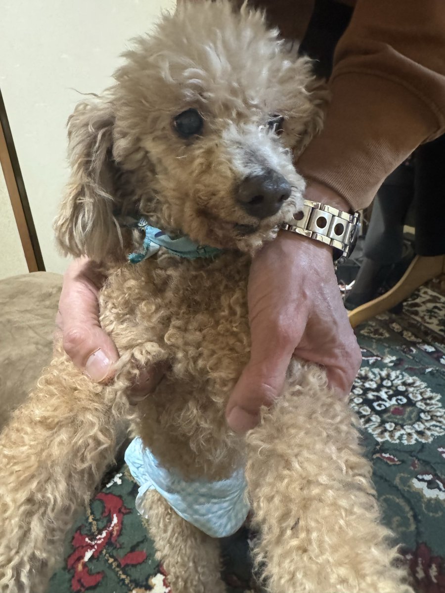 さやちゃん tweet media