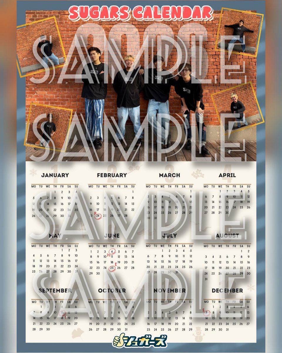 シュガーズ LIVEパンフレット シュガーズ LIVEパンフレット