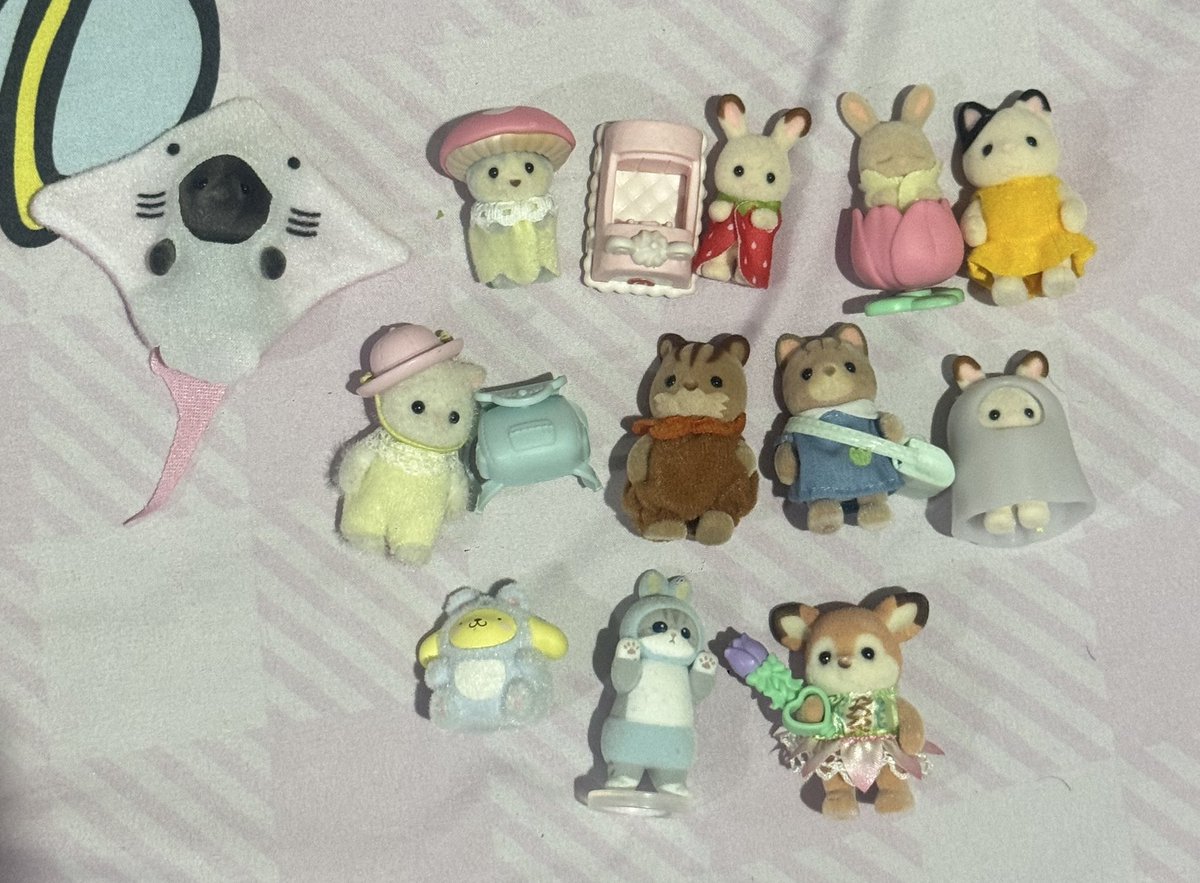 ne • pls mention aft dm tweet media