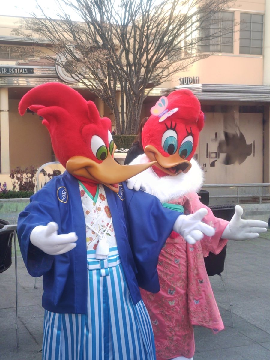 ぶんちゃん🍖🍖🍖 (@takanamibunchan) / Posts / X