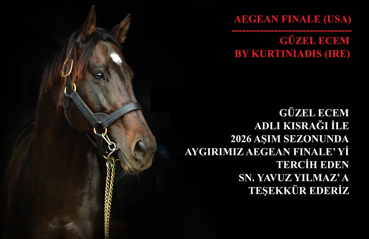 GÜZEL ECEM ADLI KISRAĞI İLE
2026 AŞIM SEZONUNDA
AYGIRIMIZ AEGEAN FINALE’ Yİ
TERCİH EDEN SN. YAVUZ YILMAZ’ A
TEŞEKKÜR EDERİZ
<a href="/alancumaruzgari/">Yavuz Yılmaz</a> <a href="/AegeanFinale/">Aegean Finale</a>