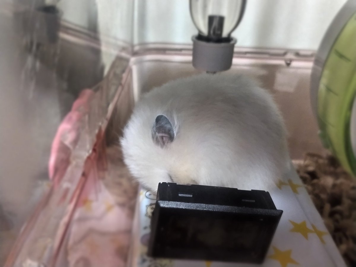 x.ohana_smail.x様♡ ご連絡待 ブライスハウス   ７月２０日追加 OHANA ISLAND GRILL - Updated January 2026 - 47 Photos & 31 Reviews