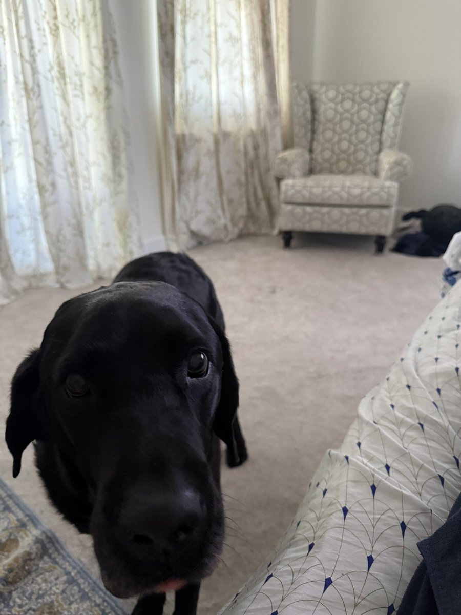 Chris Davies 🏴󠁧󠁢󠁥󠁮󠁧󠁿 🇬🇧 🇺🇸 🟣 tweet media