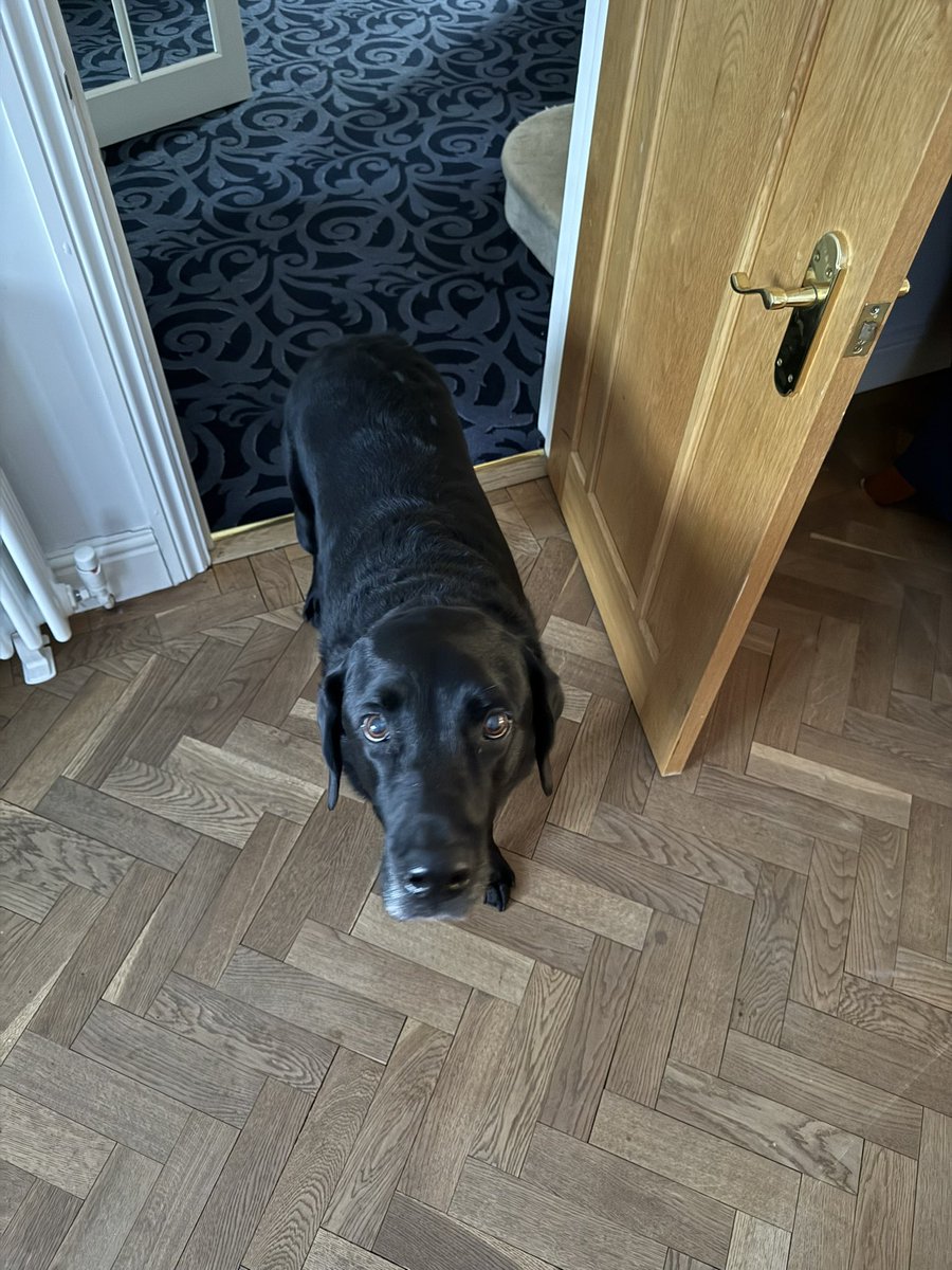 Chris Davies 🏴󠁧󠁢󠁥󠁮󠁧󠁿 🇬🇧 🇺🇸 🟣 tweet media