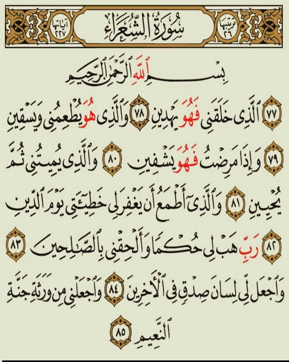 KouraIslam's tweet image. 