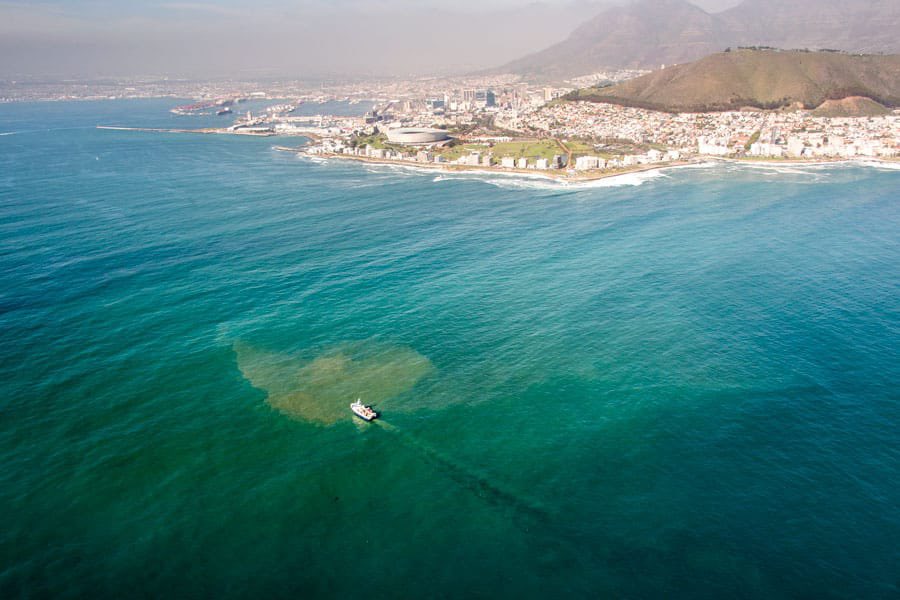 So are we gonna keep Quiet when DA is Sending Poop into our Ocean ? 

You thought White People Can Govern? 

Look at what they’re doing in Western Cape!  Illegal Foreigners and Poop all over the Sea. 

🌊 they’re turning the Western Cape 🇿🇦into Nigeria or India .
