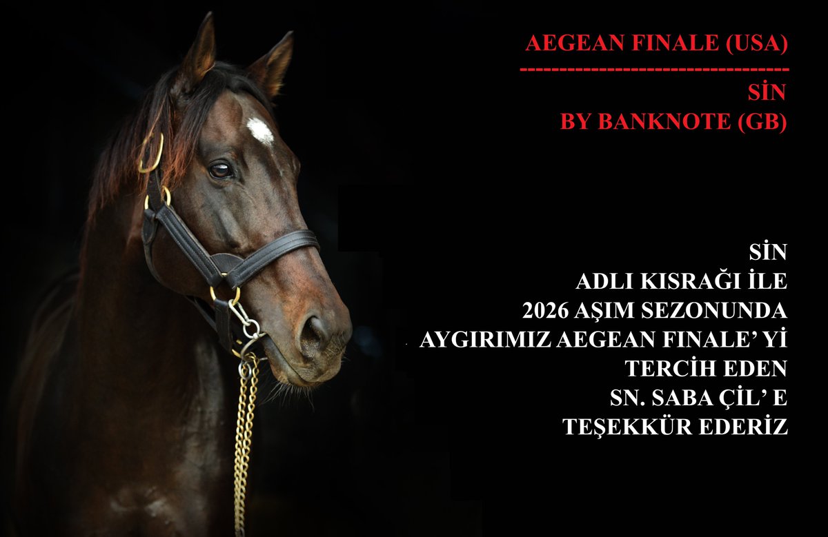 SİN  ADLI KISRAĞI İLE
2026 AŞIM SEZONUNDA
AYGIRIMIZ AEGEAN FINALE’ Yİ
TER CİH EDEN SN. SABA ÇİL’ E
TEŞEKKÜR EDERİZ
<a href="/AegeanFinale/">Aegean Finale</a>