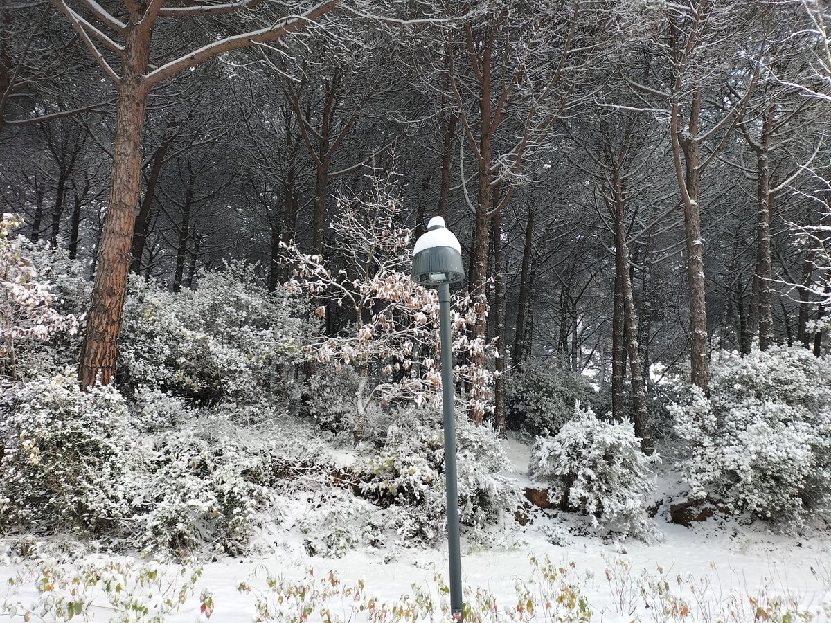 Psikolog: Şapka takan lamba gerçek değildir. Şapka takan lamba: