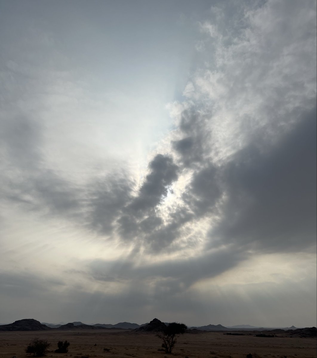 Canni321's tweet image. «We must have the stubbornness to accept our gladness in the ruthless furnace of this world.»
Jack Gilbert