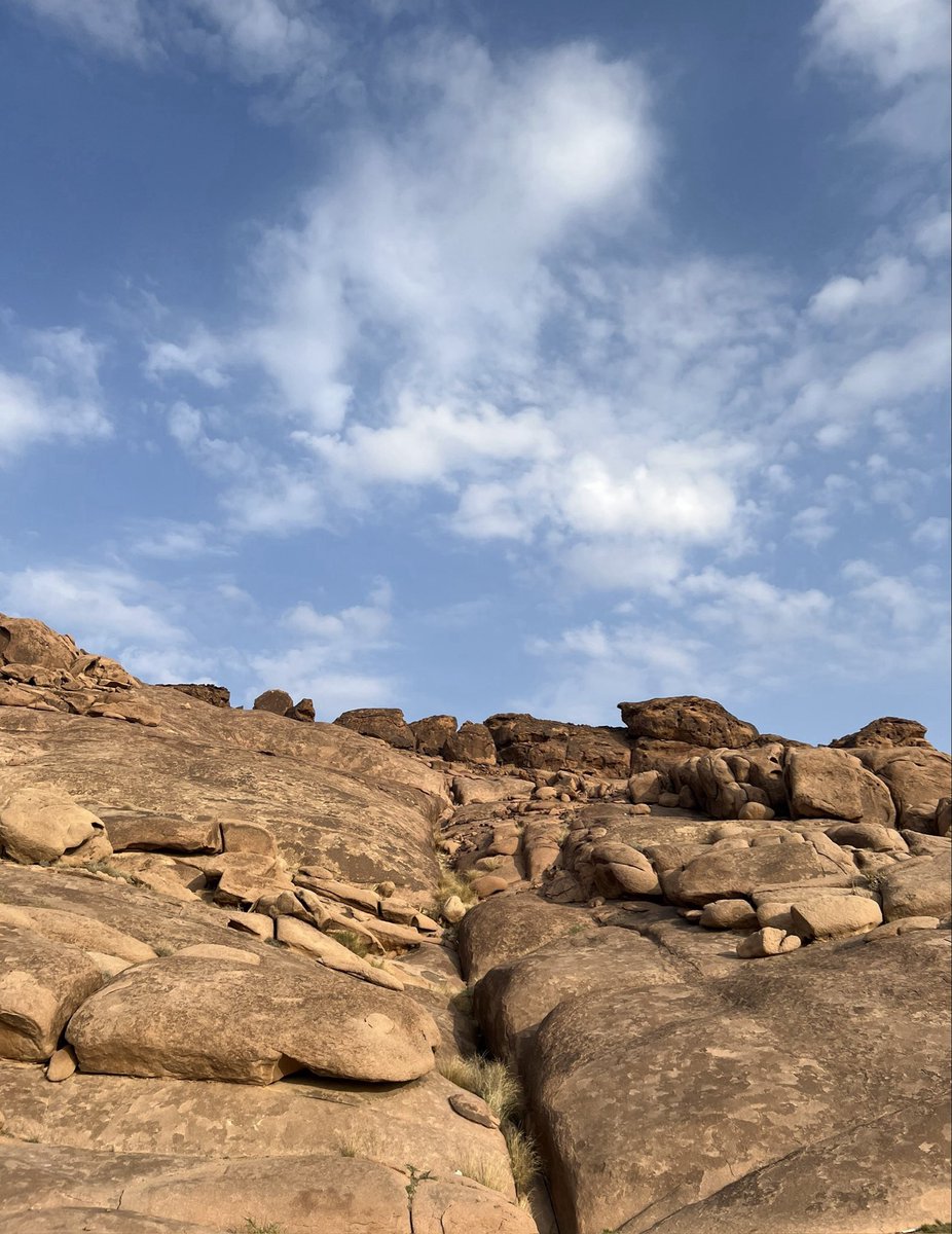 Canni321's tweet image. «We must have the stubbornness to accept our gladness in the ruthless furnace of this world.»
Jack Gilbert