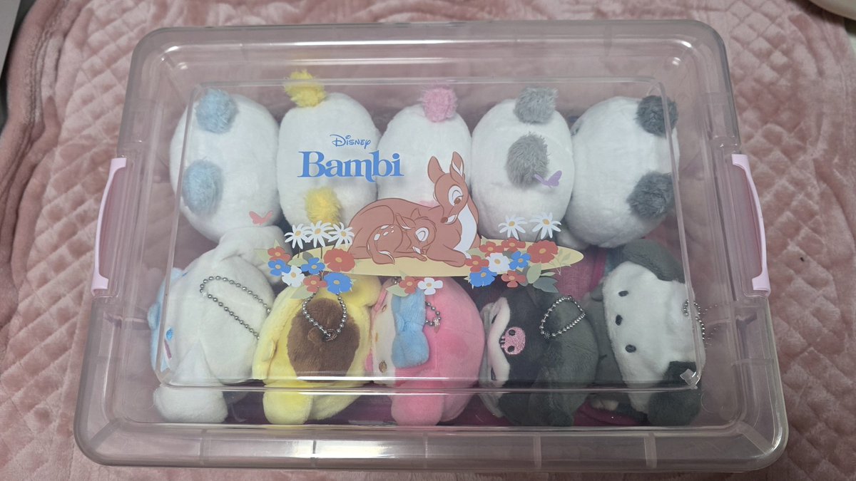 scene_PL's tweet image. 아앜ㅋㅋㅋㅋㅋㄱ 진짜 귀여워 수납된다 괜찮네ㅋㅋㅋㅋㅋㅋㅋㅋ