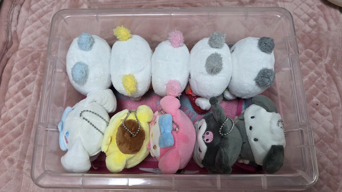 scene_PL's tweet image. 아앜ㅋㅋㅋㅋㅋㄱ 진짜 귀여워 수납된다 괜찮네ㅋㅋㅋㅋㅋㅋㅋㅋ