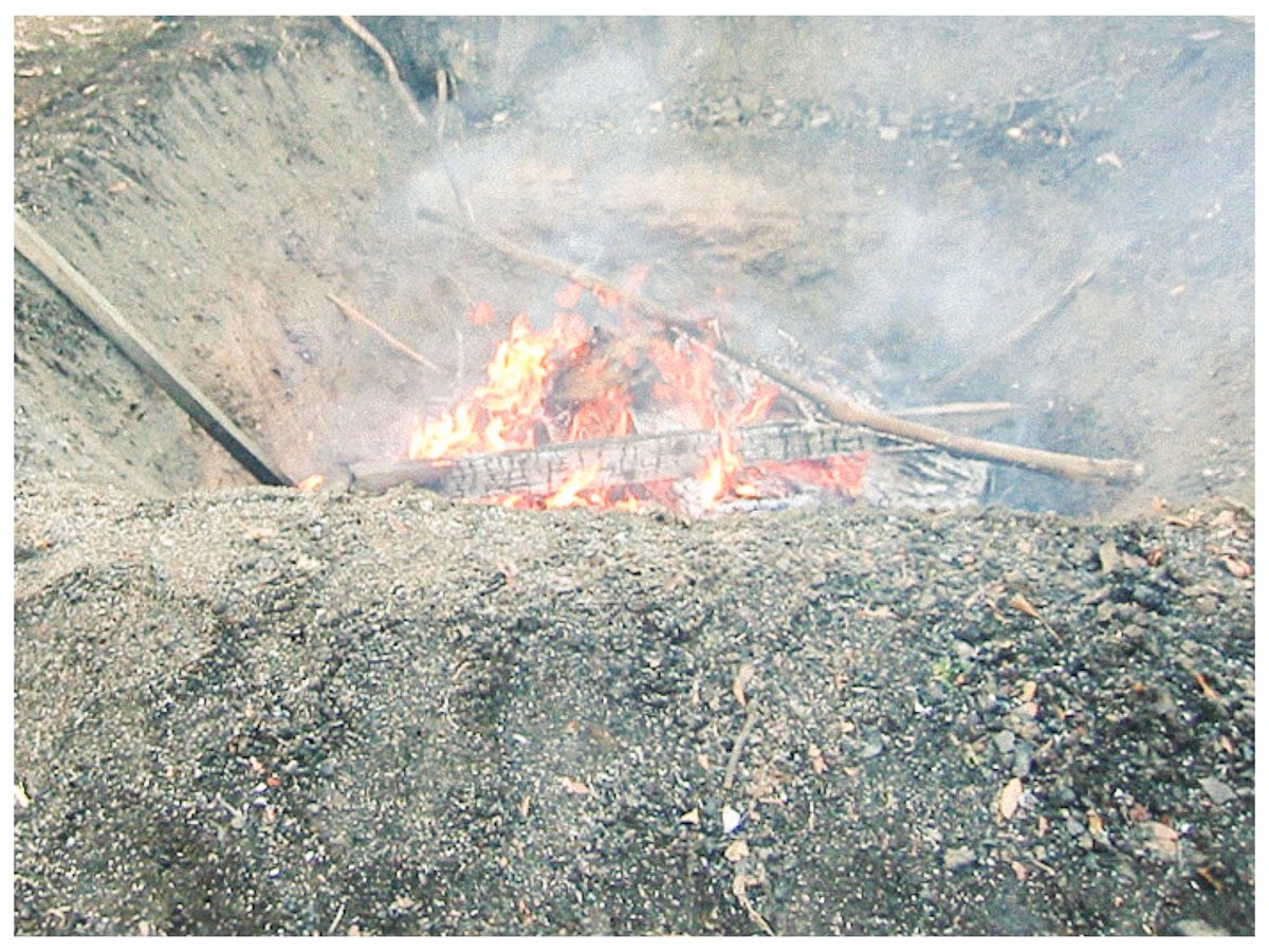 iroaji_pix's tweet image. 