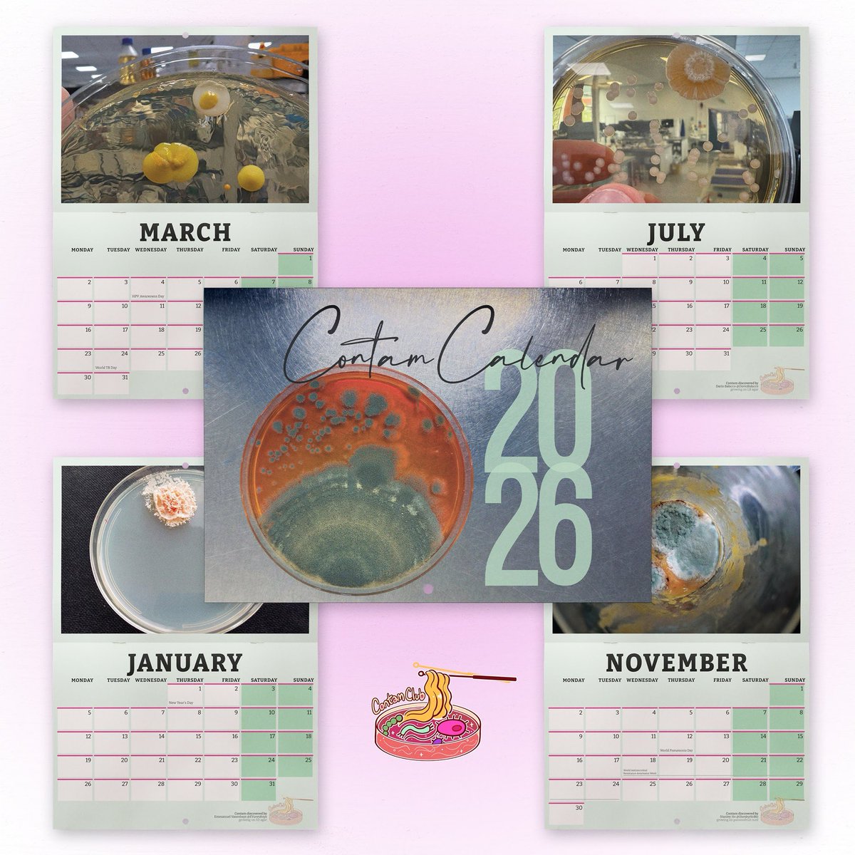 Contamination Club tweet media