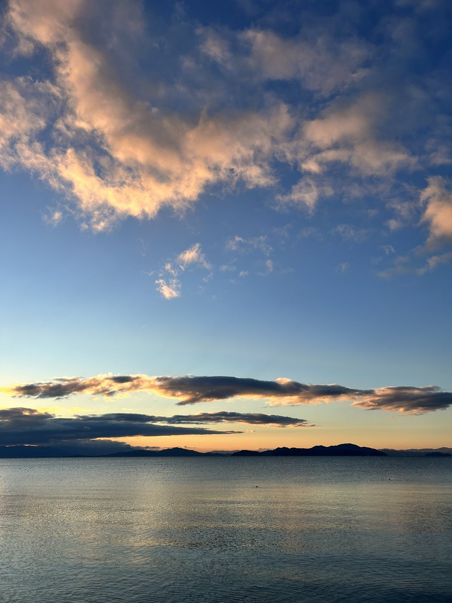 琉 也/ Turtle Frog tweet media