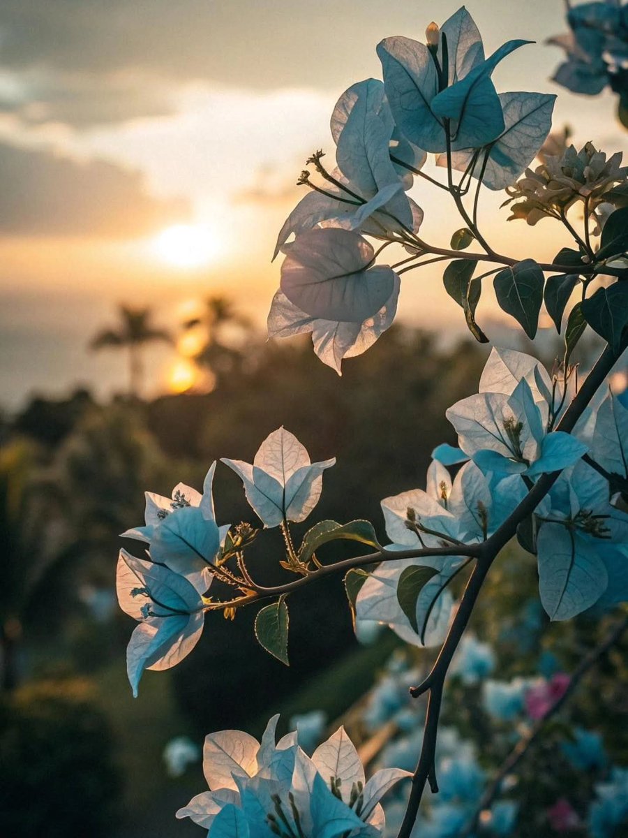 *╭─══════𝄞🎀⍣⃝♡ྀ࿐*

*نحـنُ لا نـدري أي أرض*
*وأي قلـب وأي قـرار هـو*
*الخيـر لنـا، لڪننا نؤمـن بِـأنّ*
*الخيـر فيمـا أختـاره الله لنـا."