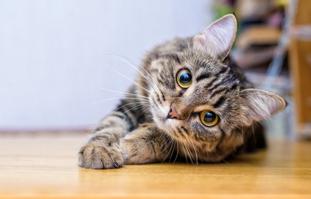 MichelleVaday's tweet image. まだ2日なのになんか疲れた